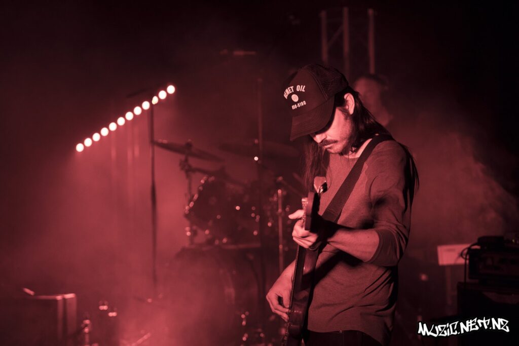 The Feelers @ Christchurch Town Hall, Christchurch 30/11/2019