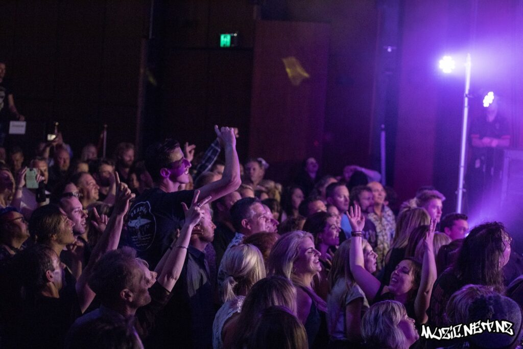 The Feelers @ Christchurch Town Hall, Christchurch 30/11/2019