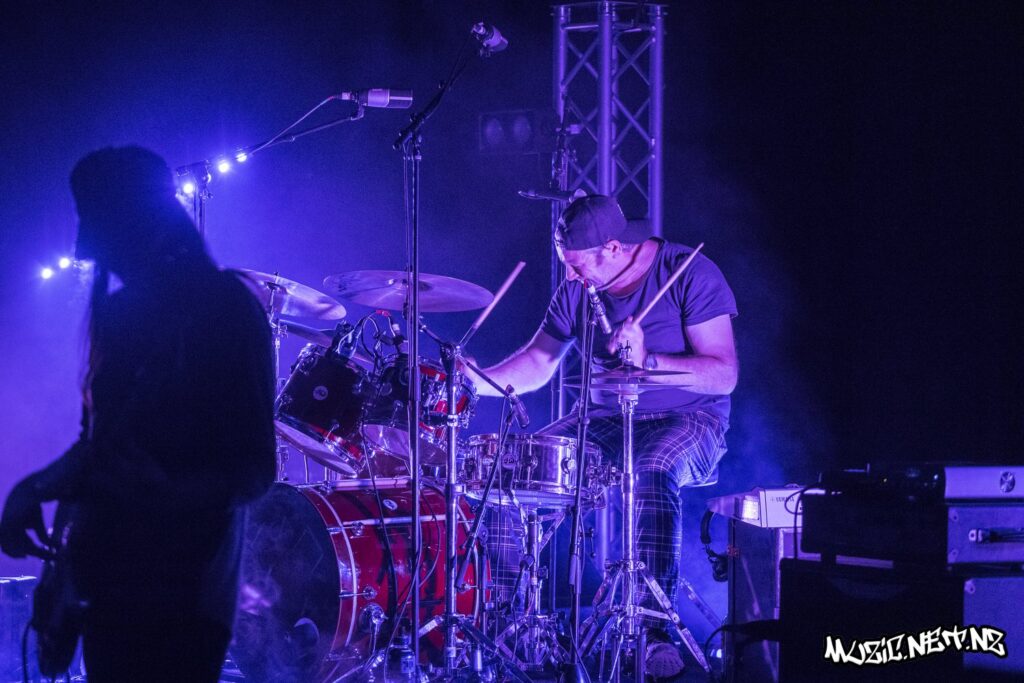The Feelers @ Christchurch Town Hall, Christchurch 30/11/2019