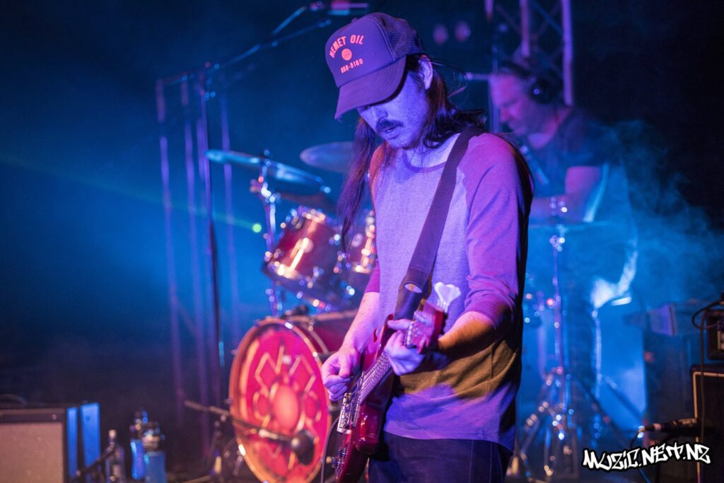 The Feelers @ Christchurch Town Hall, Christchurch 30/11/2019