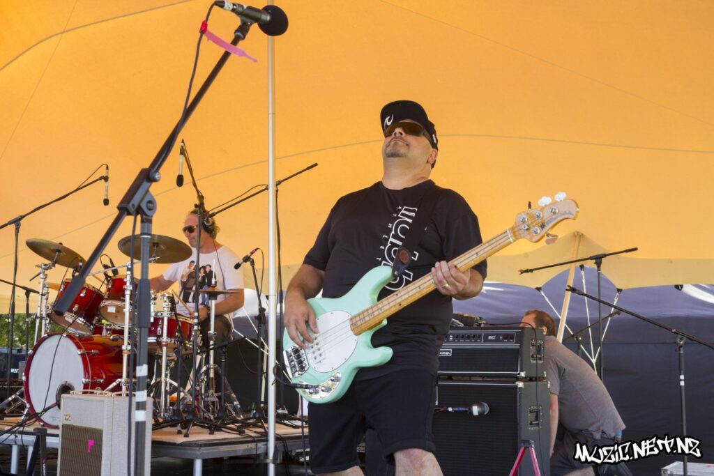 The Feelers @ Music In Parks: Lloyd Elsmore Park, Auckland 23/02/2020