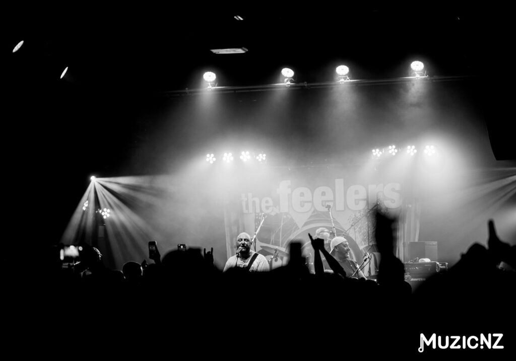 The Feelers @ Totara St, Mount Maunganui 04/01/2024