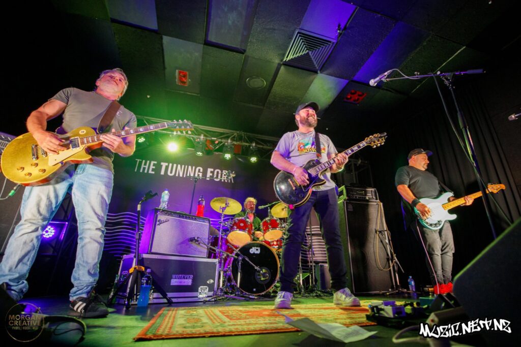 The Feelers @ Tuning Fork, Auckland 12/08/2022