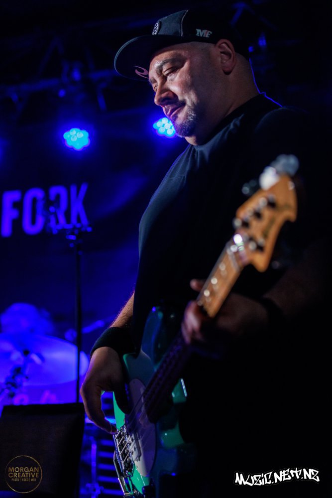 The Feelers @ Tuning Fork, Auckland 12/08/2022