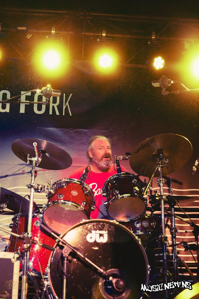 The Feelers @ Tuning Fork, Auckland 12/08/2022