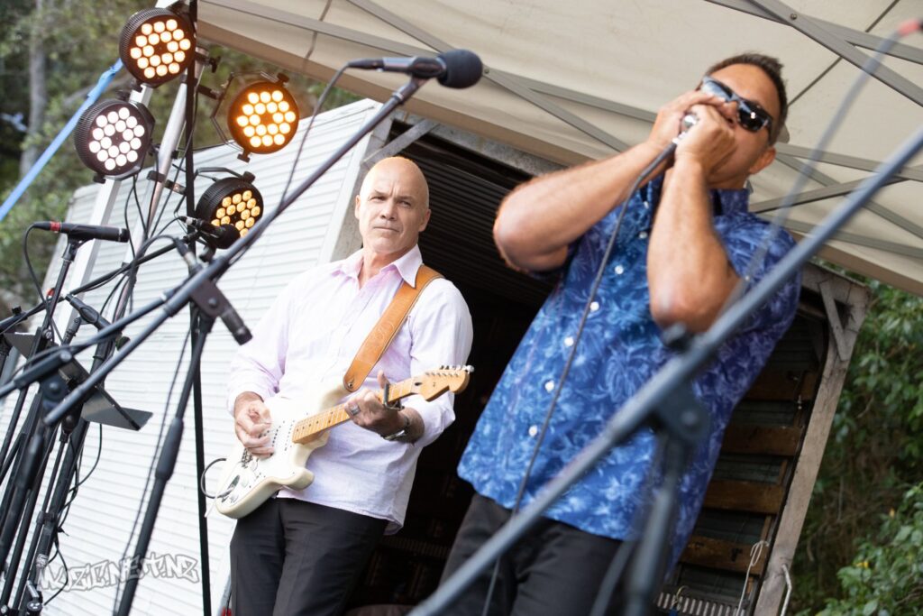 The Flaming Mudcats @ Music In Parks, Blockhouse Bay Beach Reserve, Auckland 05/02/2021
