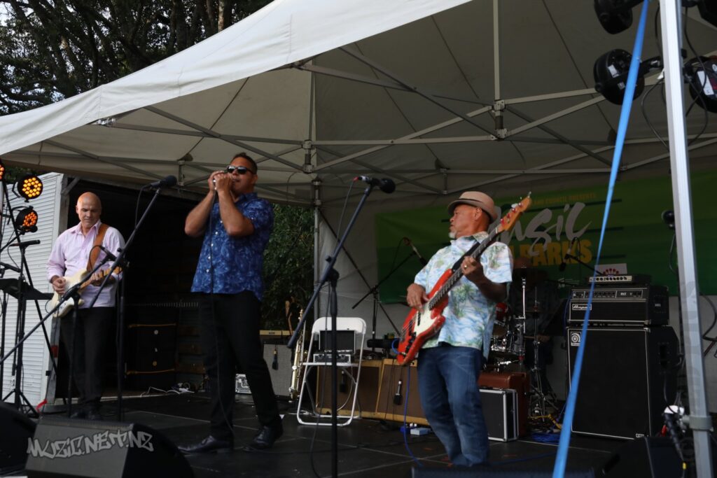 The Flaming Mudcats @ Music In Parks, Blockhouse Bay Beach Reserve, Auckland 05/02/2021