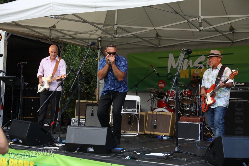 The Flaming Mudcats @ Music In Parks, Blockhouse Bay Beach Reserve, Auckland 05/02/2021