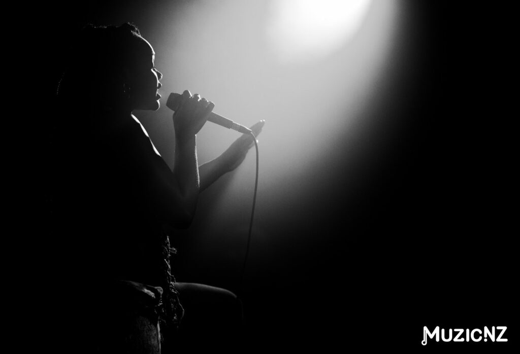 The Others Way @ Auckland 01/12/2013 Gallery 2