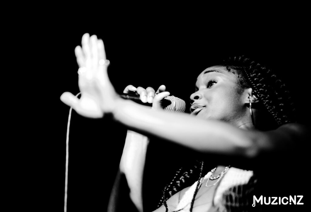 The Others Way @ Auckland 01/12/2013 Gallery 2