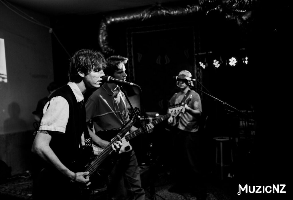 The Others Way @ Auckland 01/12/2013 Gallery 2