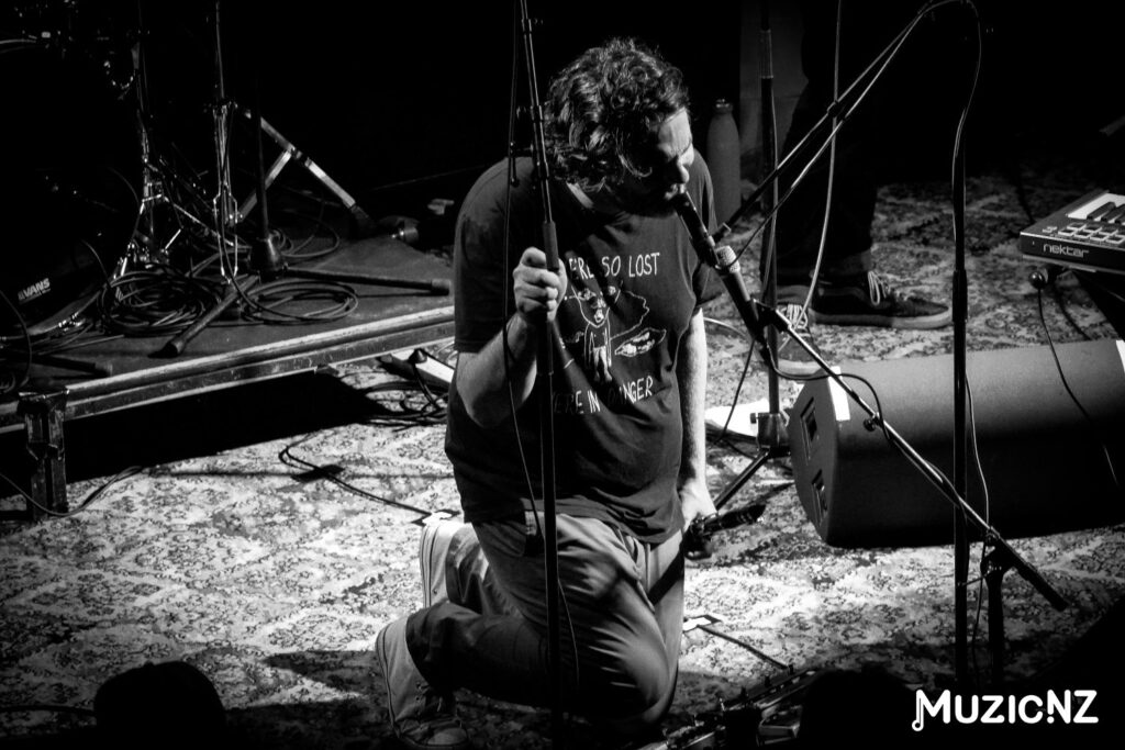 The Phoenix Foundation @ Meow Nui, Wellington 14/12/2024