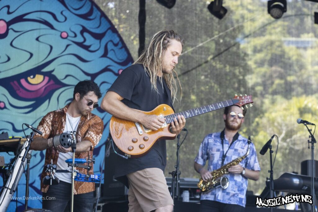Tunes Of I @ Williams Park, Wellington 20/01/2020