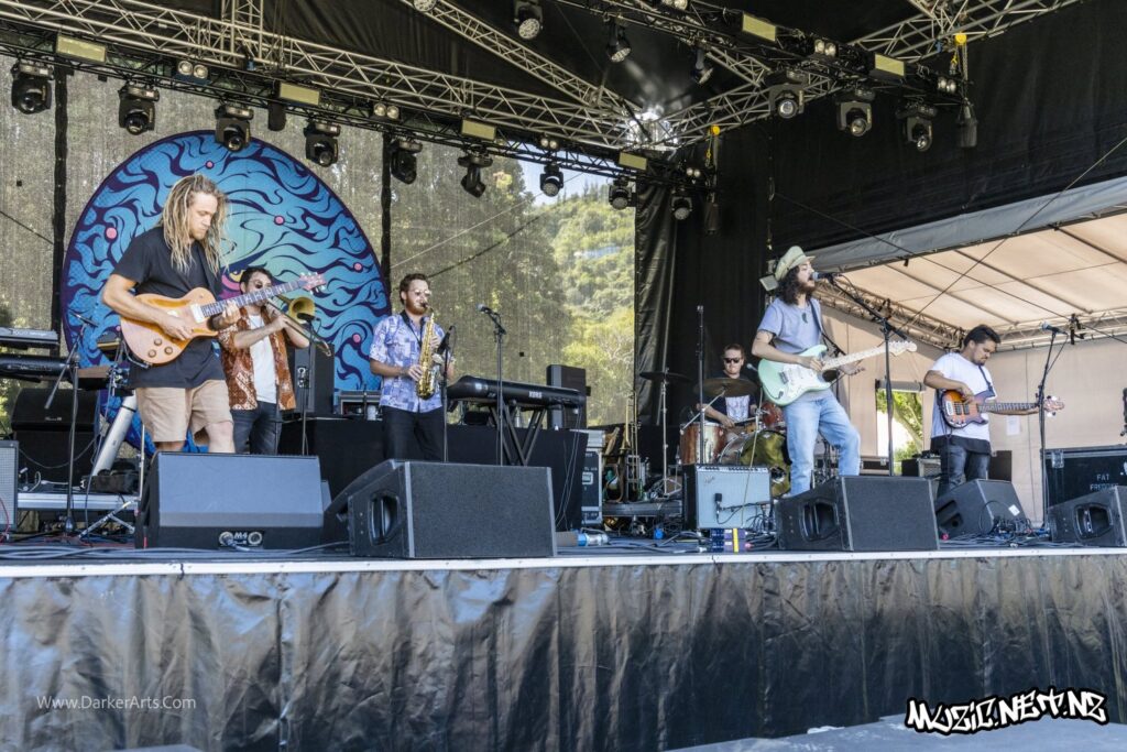 Tunes Of I @ Williams Park, Wellington 20/01/2020