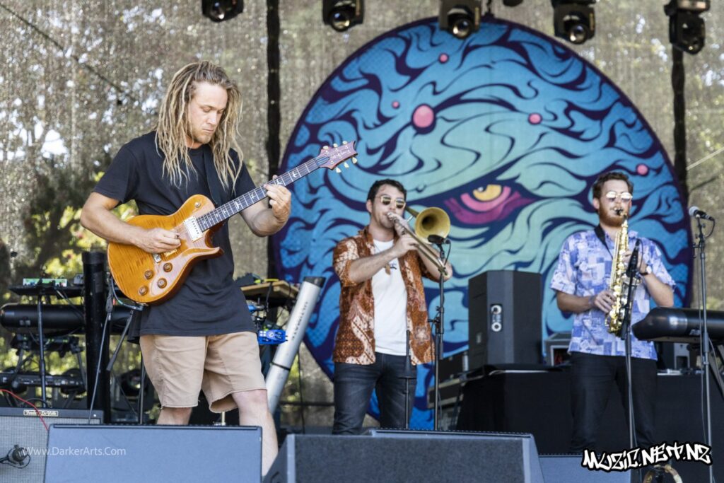 Tunes Of I @ Williams Park, Wellington 20/01/2020