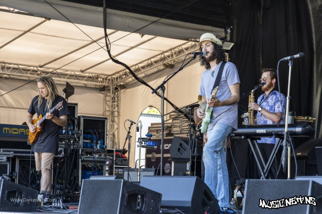Tunes Of I @ Williams Park, Wellington 20/01/2020