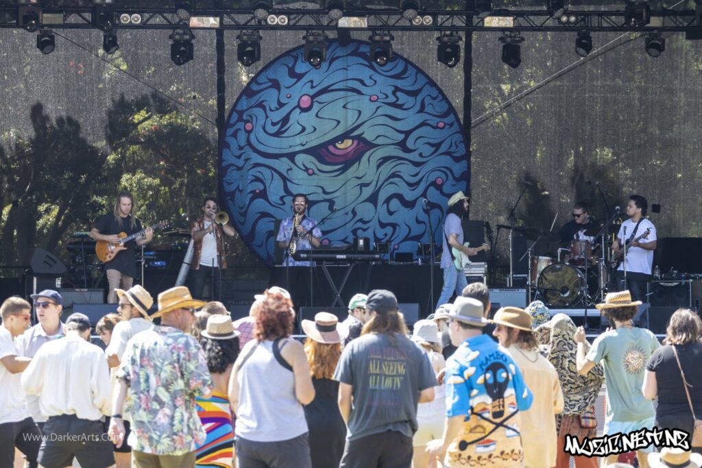 Tunes Of I @ Williams Park, Wellington 20/01/2020