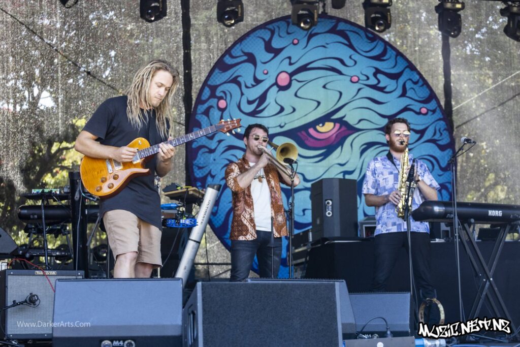 Tunes Of I @ Williams Park, Wellington 20/01/2020