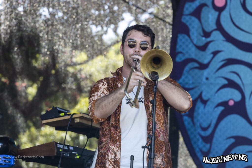 Tunes Of I @ Williams Park, Wellington 20/01/2020