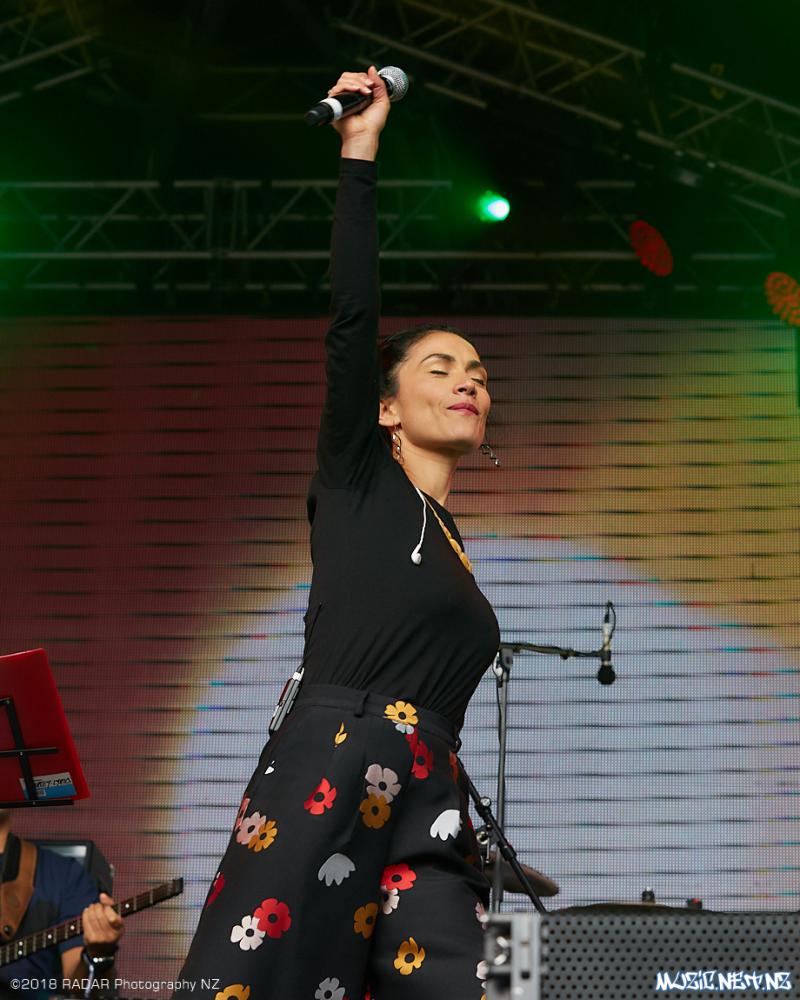Various Artists @ Homegrown 2018, Wellington 07/04/2018
