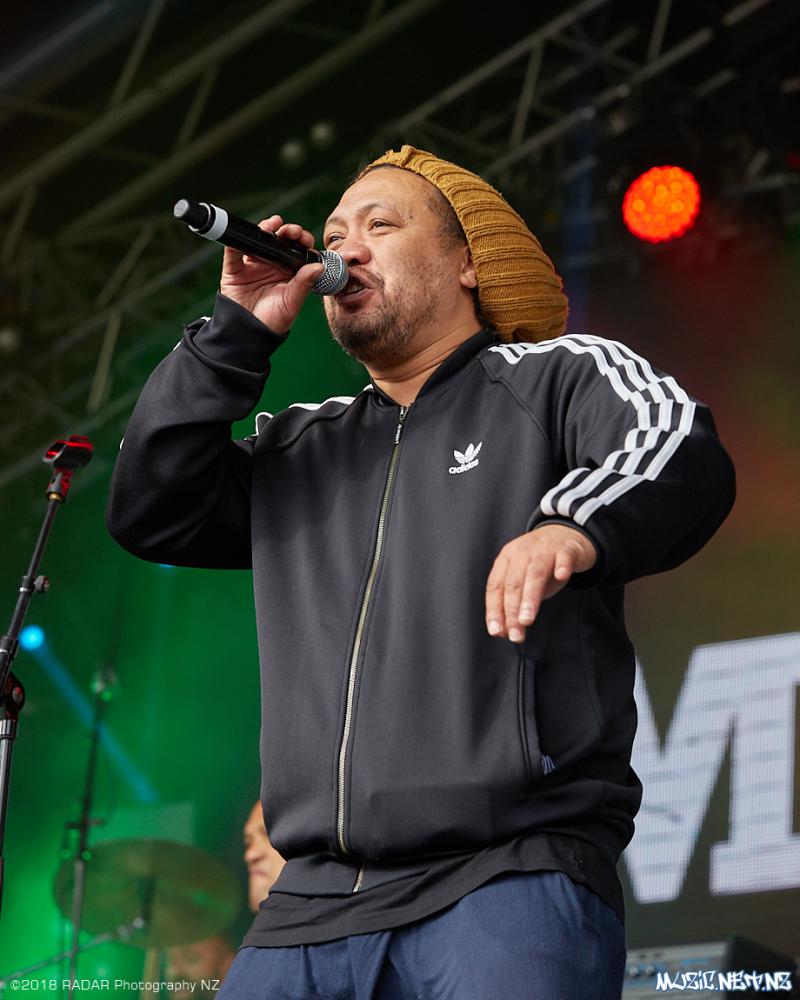 Various Artists @ Homegrown 2018, Wellington 07/04/2018