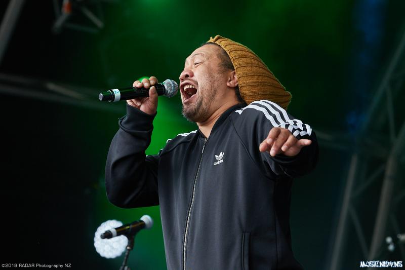 Various Artists @ Homegrown 2018, Wellington 07/04/2018