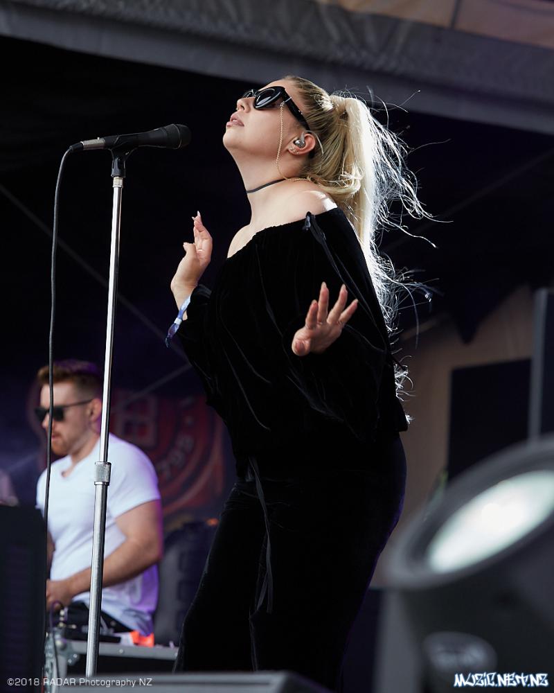 Various Artists @ Homegrown 2018, Wellington 07/04/2018
