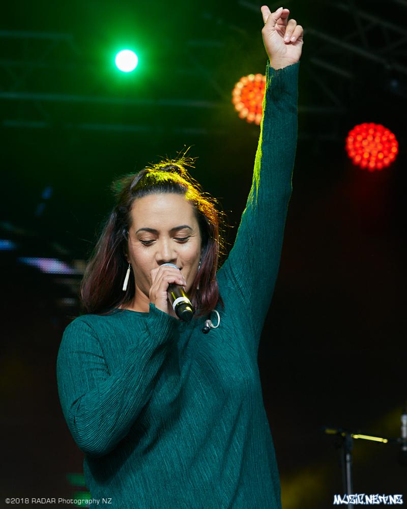 Various Artists @ Homegrown 2018, Wellington 07/04/2018