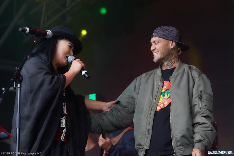 Various Artists @ Homegrown 2018, Wellington 07/04/2018