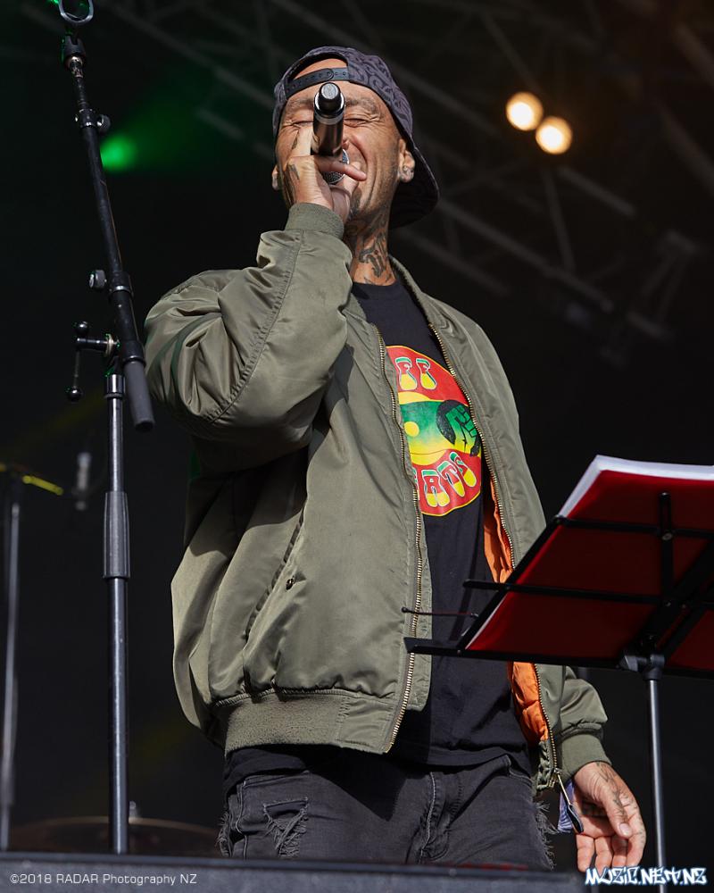 Various Artists @ Homegrown 2018, Wellington 07/04/2018