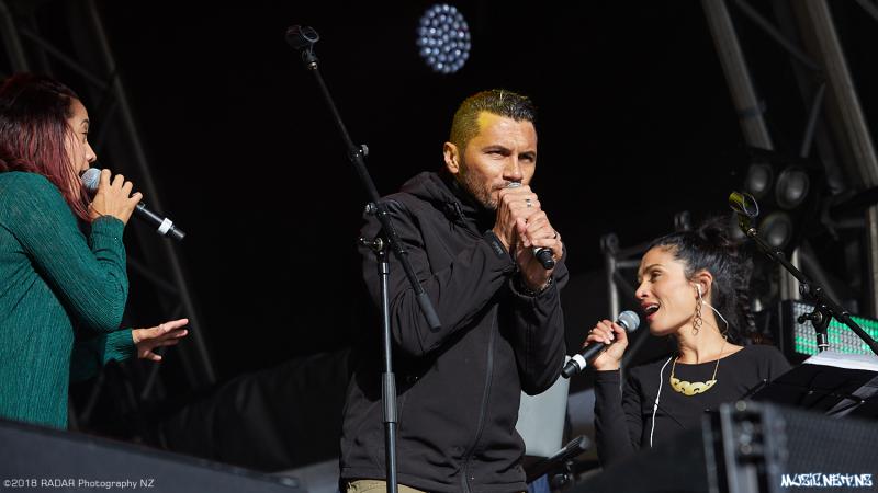 Various Artists @ Homegrown 2018, Wellington 07/04/2018
