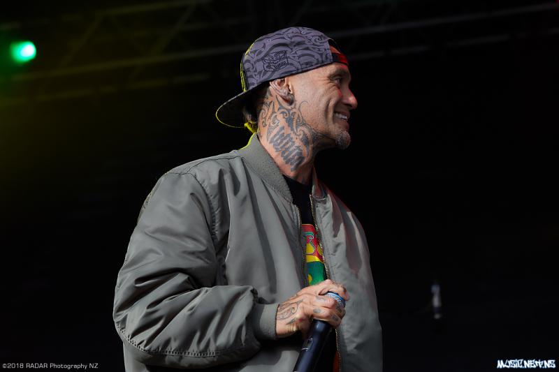 Various Artists @ Homegrown 2018, Wellington 07/04/2018