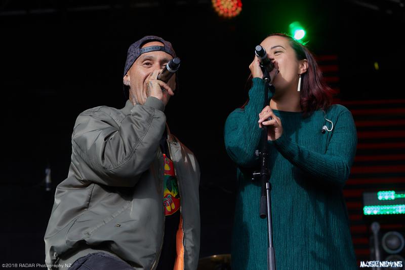 Various Artists @ Homegrown 2018, Wellington 07/04/2018