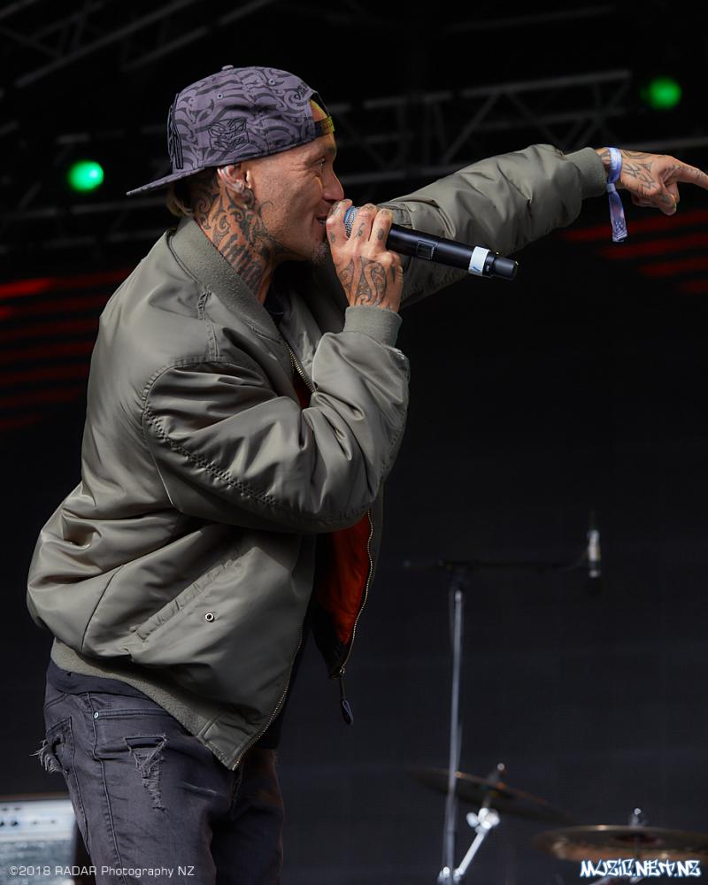 Various Artists @ Homegrown 2018, Wellington 07/04/2018
