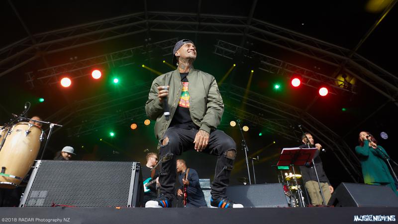 Various Artists @ Homegrown 2018, Wellington 07/04/2018