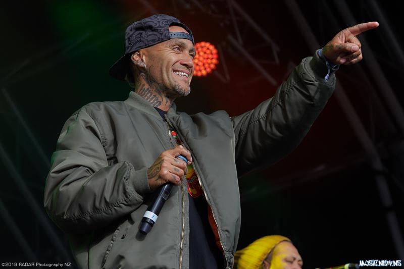 Various Artists @ Homegrown 2018, Wellington 07/04/2018