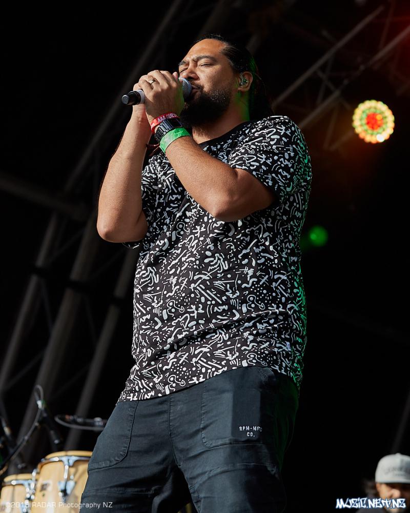 Various Artists @ Homegrown 2018, Wellington 07/04/2018