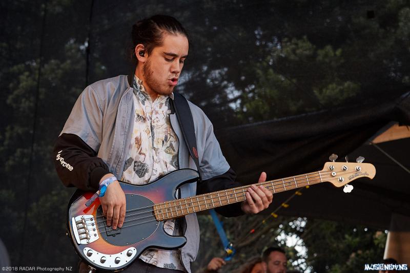 Various Artists @ Homegrown 2018, Wellington 07/04/2018