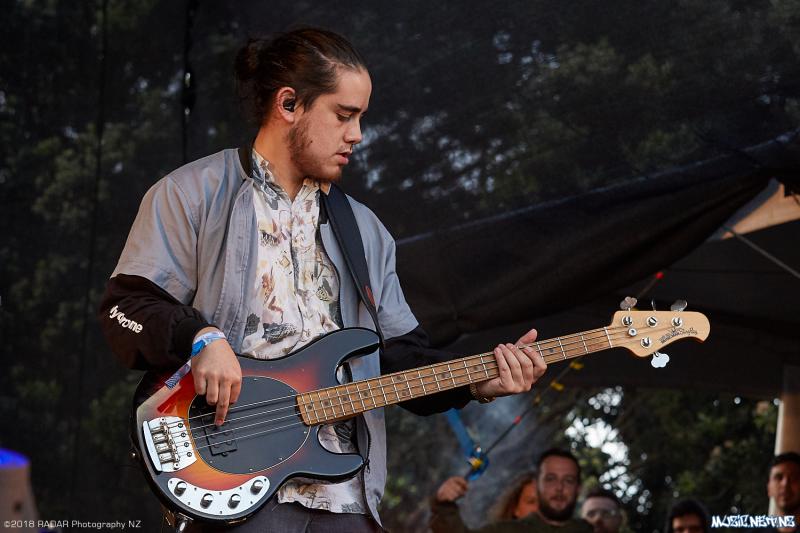 Various Artists @ Homegrown 2018, Wellington 07/04/2018