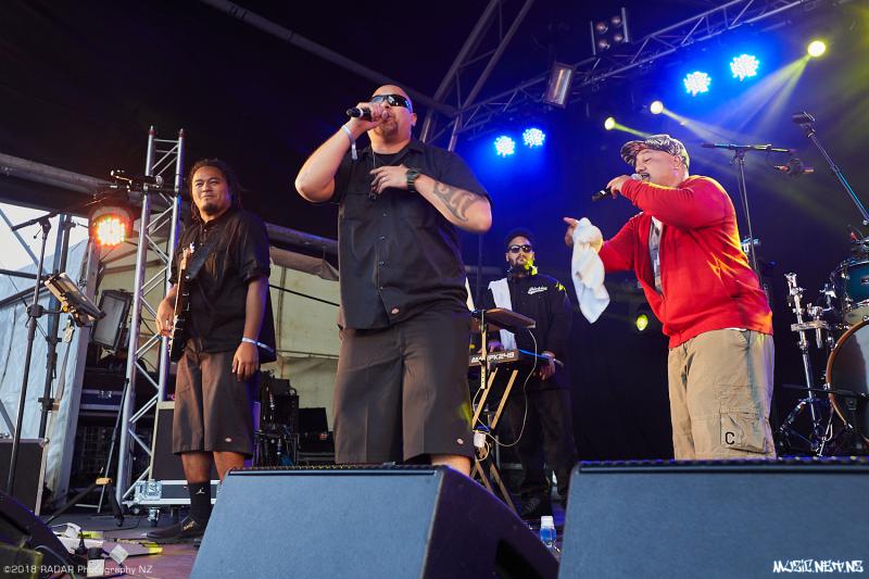 Various Artists @ Homegrown 2018, Wellington 07/04/2018