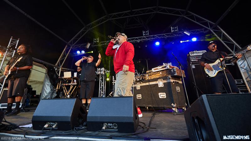 Various Artists @ Homegrown 2018, Wellington 07/04/2018