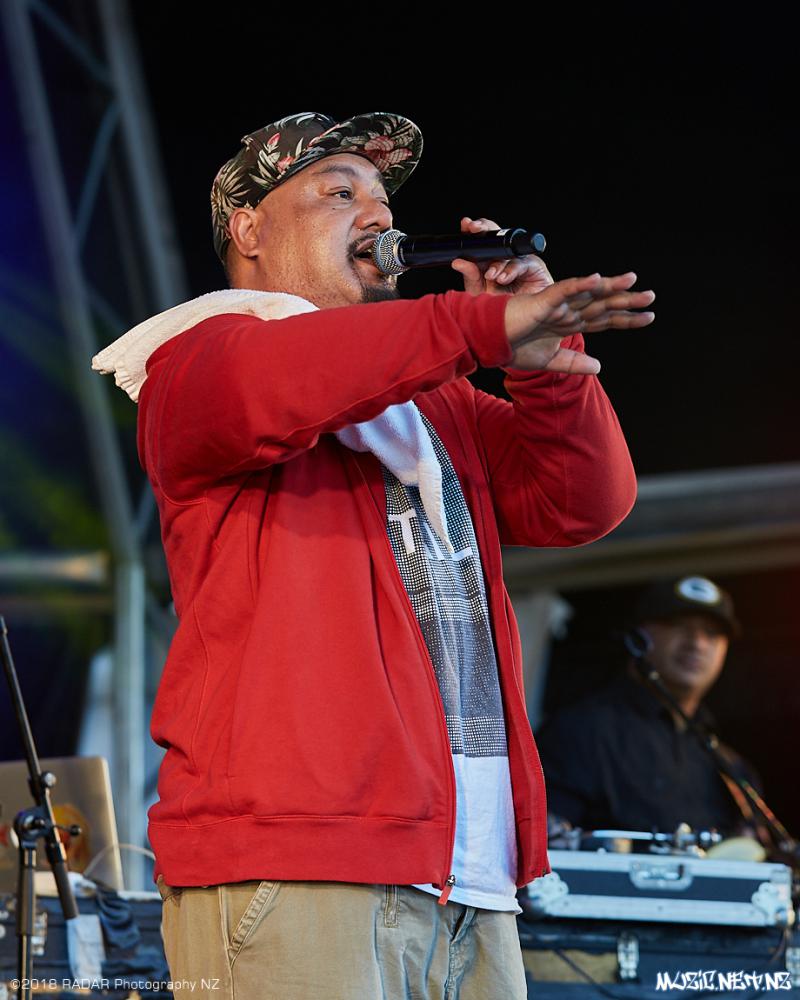Various Artists @ Homegrown 2018, Wellington 07/04/2018