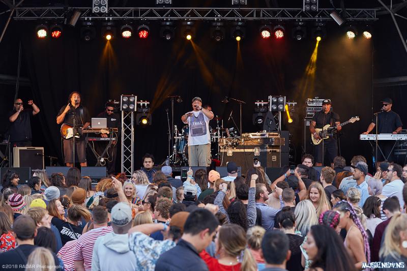Various Artists @ Homegrown 2018, Wellington 07/04/2018