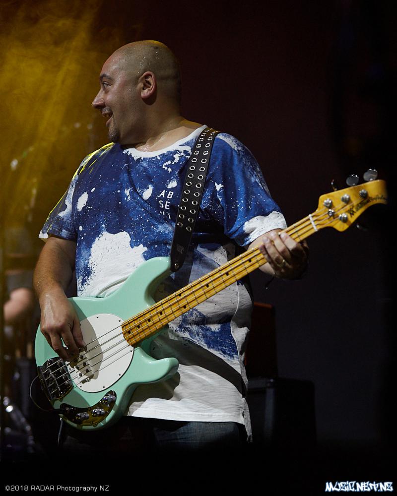 Various Artists @ Homegrown 2018, Wellington 07/04/2018