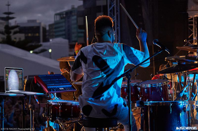 Various Artists @ Homegrown 2018, Wellington 07/04/2018