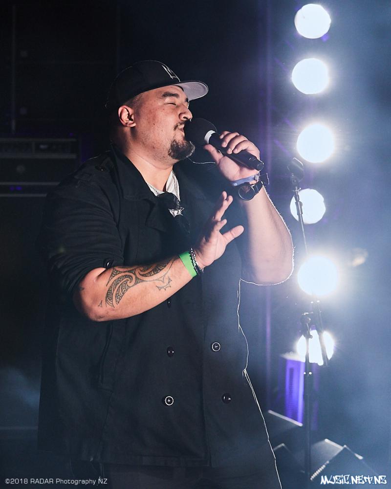Various Artists @ Homegrown 2018, Wellington 07/04/2018