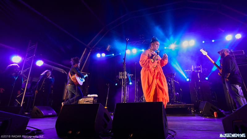 Various Artists @ Homegrown 2018, Wellington 07/04/2018