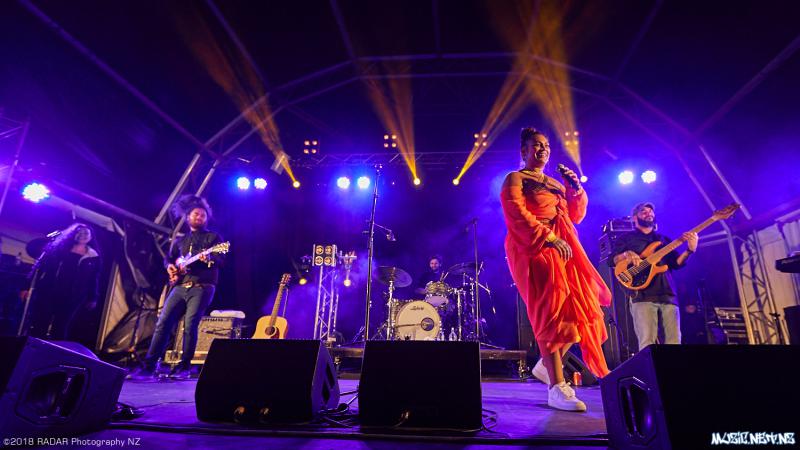 Various Artists @ Homegrown 2018, Wellington 07/04/2018