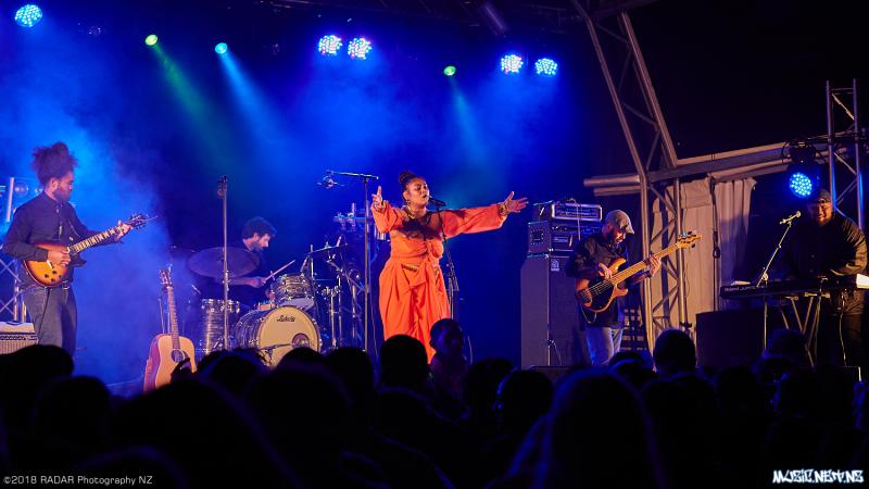 Various Artists @ Homegrown 2018, Wellington 07/04/2018