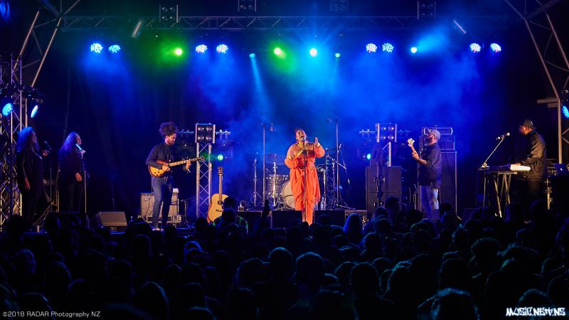 Various Artists @ Homegrown 2018, Wellington 07/04/2018